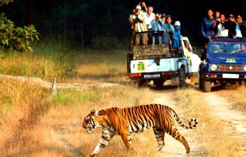 Famous wildlife jim corbett